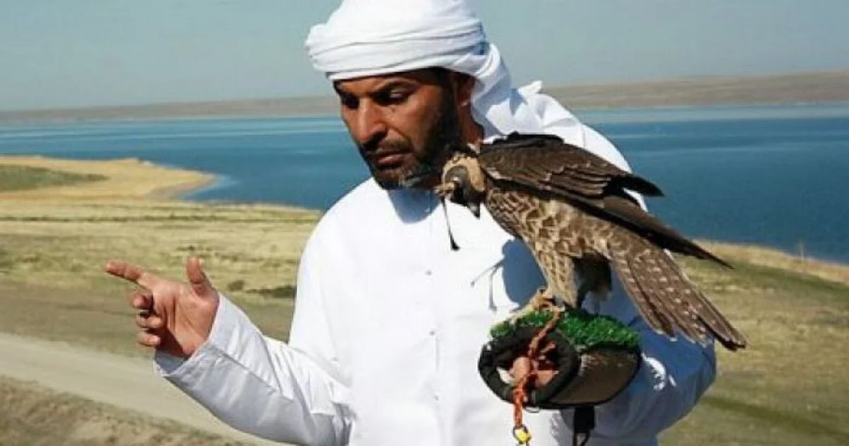 Фото из доступных источников