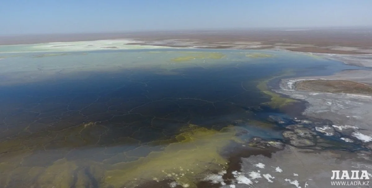 Фото из архива Lada.kz