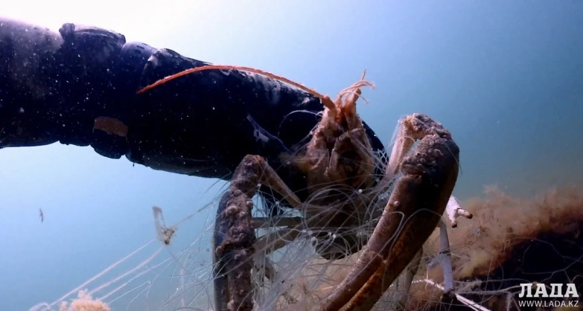 Скриншот видеоматериала