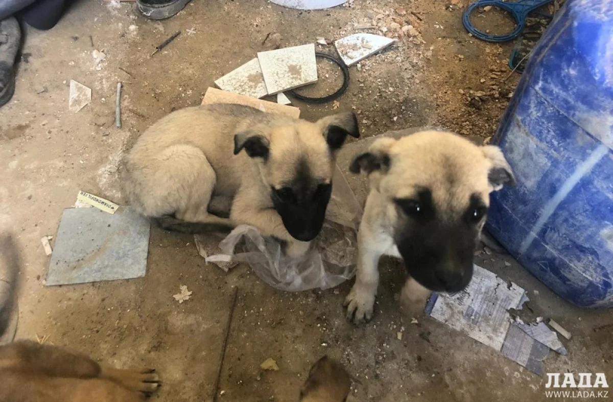 Фото предоставлено Сергеем Хачатряном