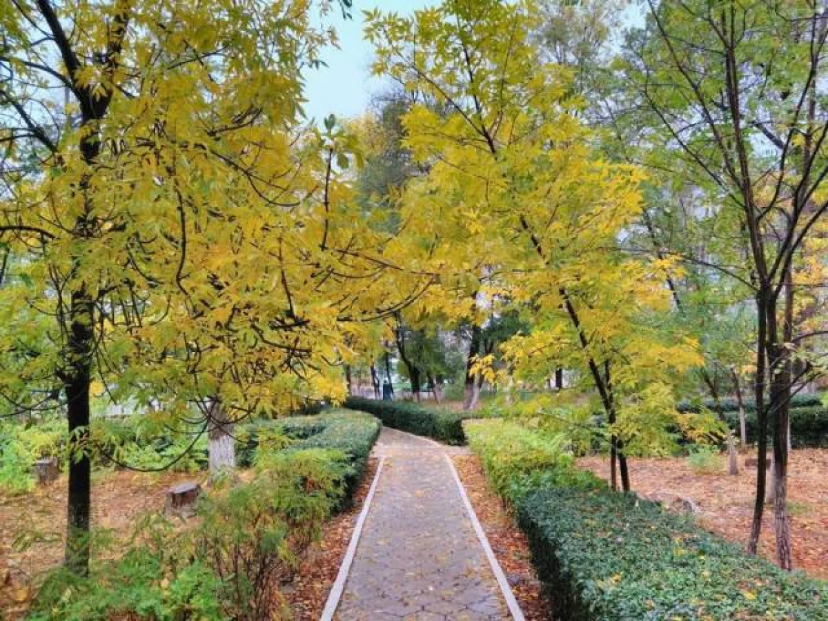 Фото из архива Lada.kz