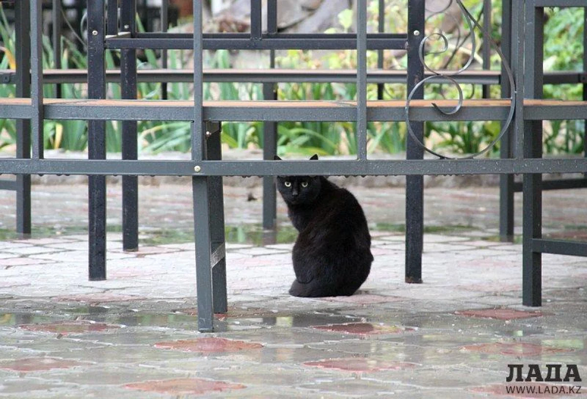 Фото из архива