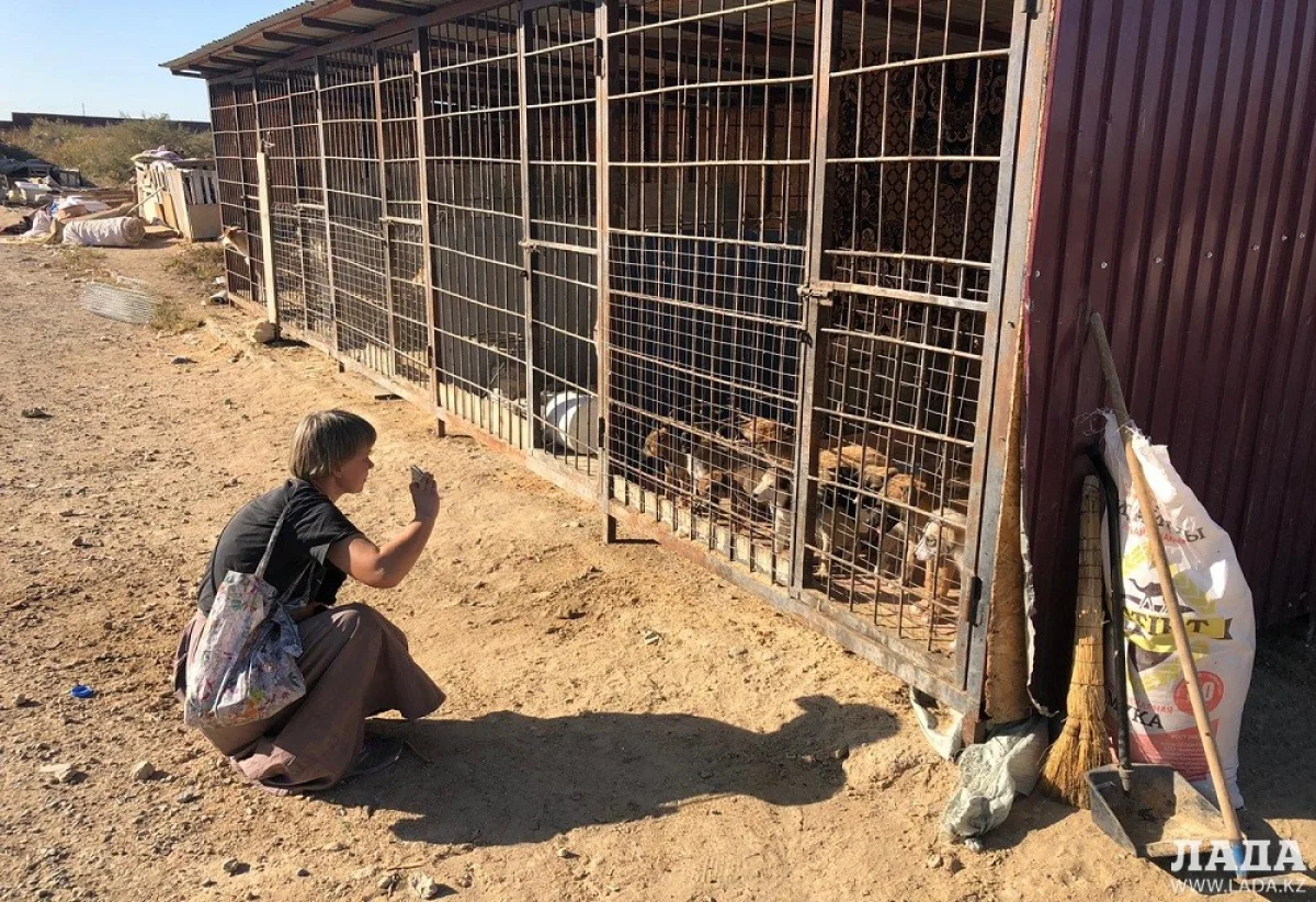 Фото предоставлено Фессом Стоуном