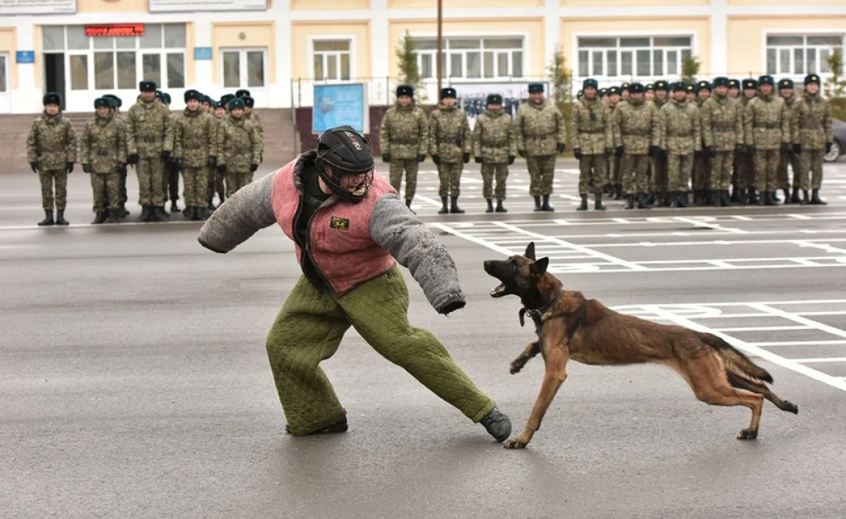 Фото из доступных источников