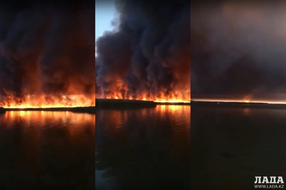 Коллаж из скриншотов видеоматериала