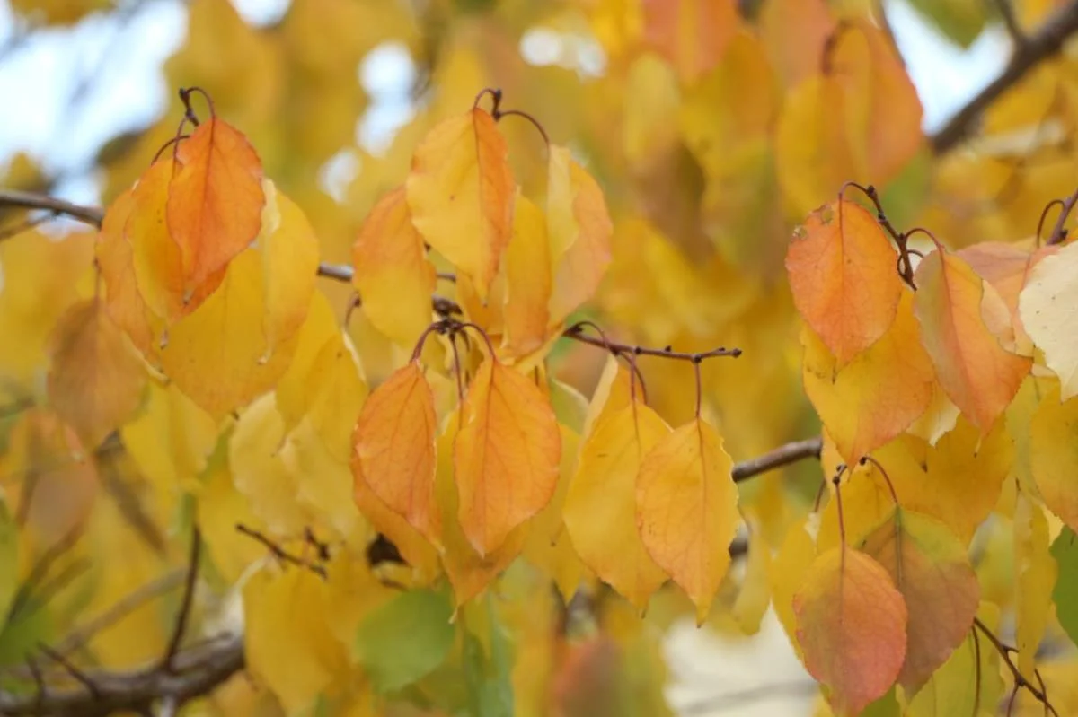 Фото Рашида Исмагилова