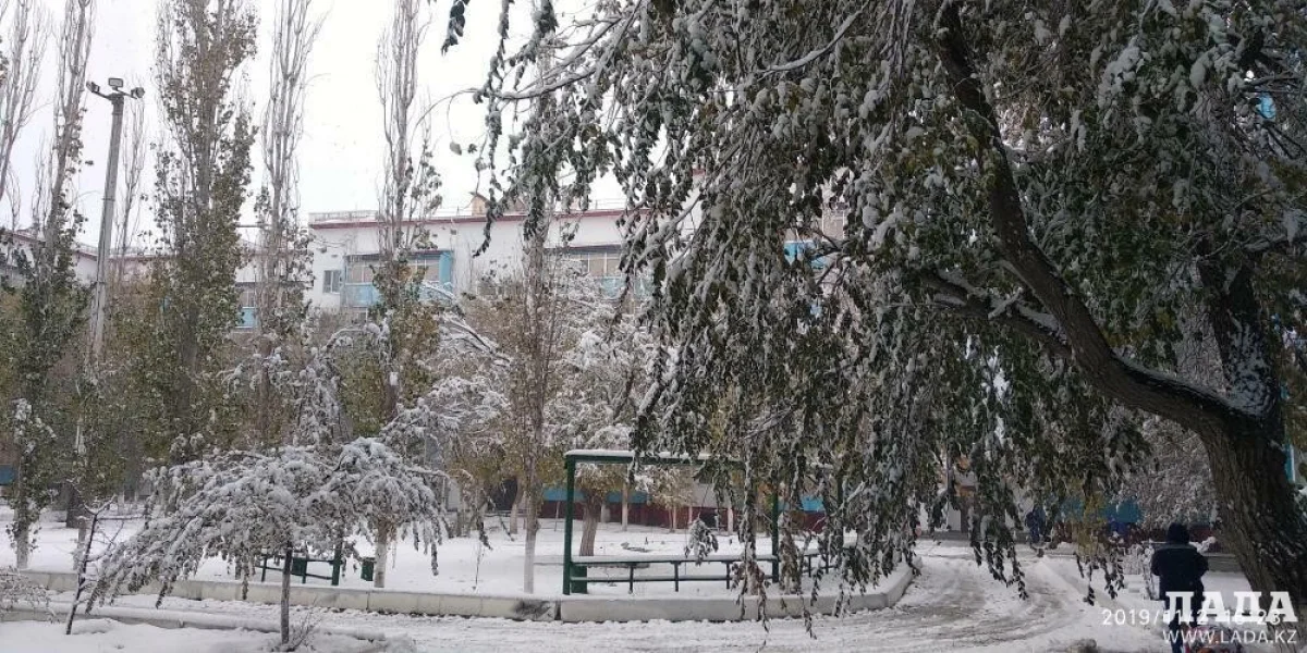 Фото пользователей Сети