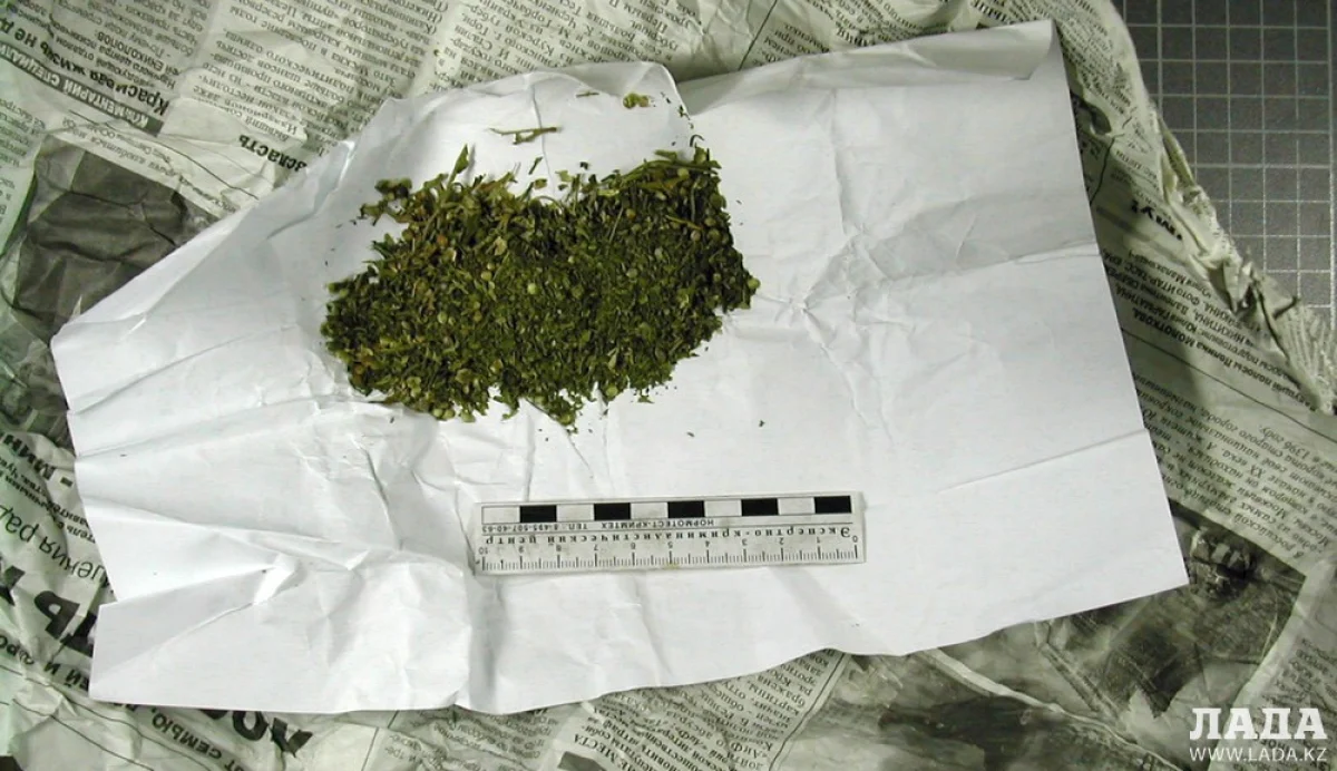 Фото из доступных источников