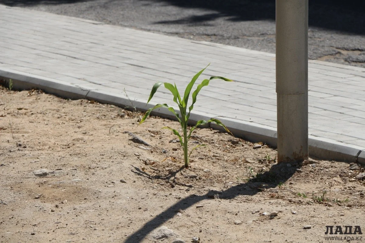 Фото из архива Lada.kz