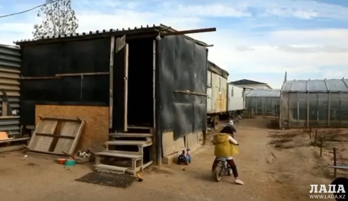 Скриншот видеоматериала