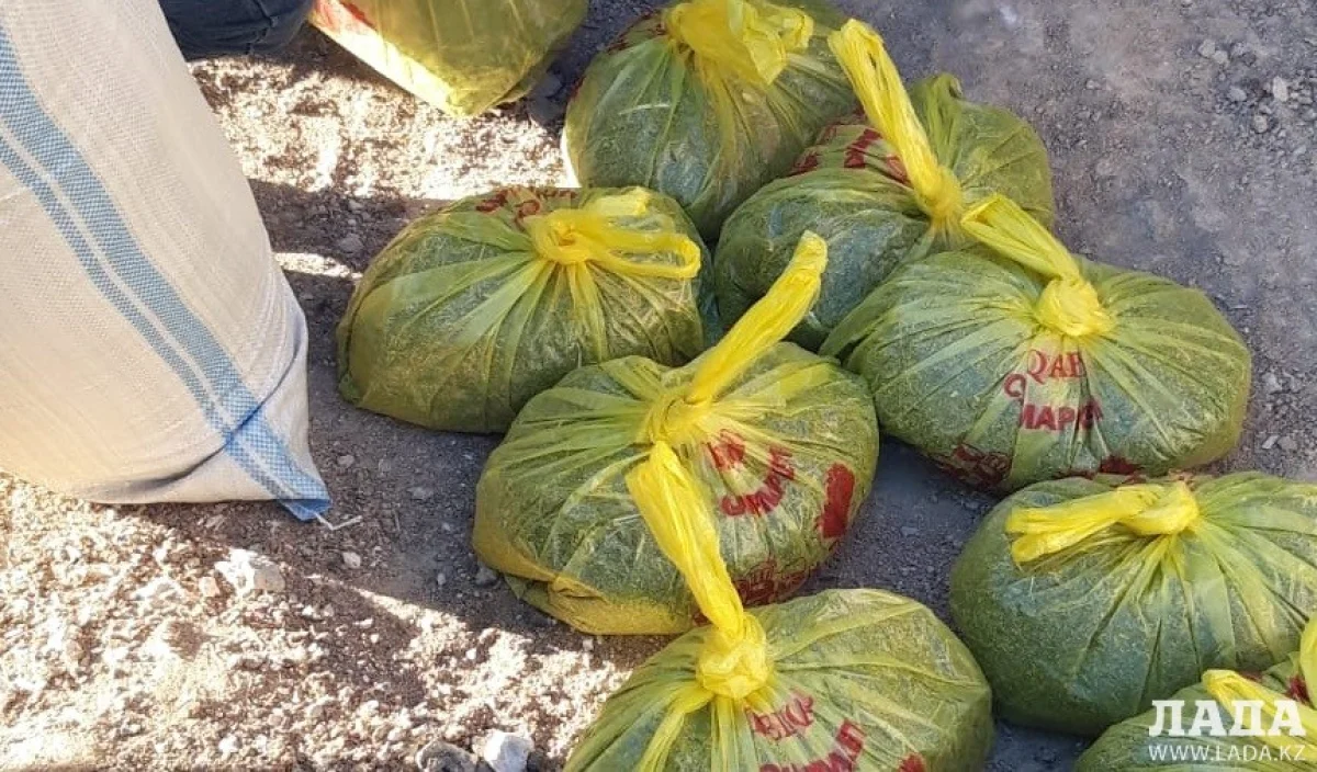 Мешки с марихуаной. Фото из достоверного источника