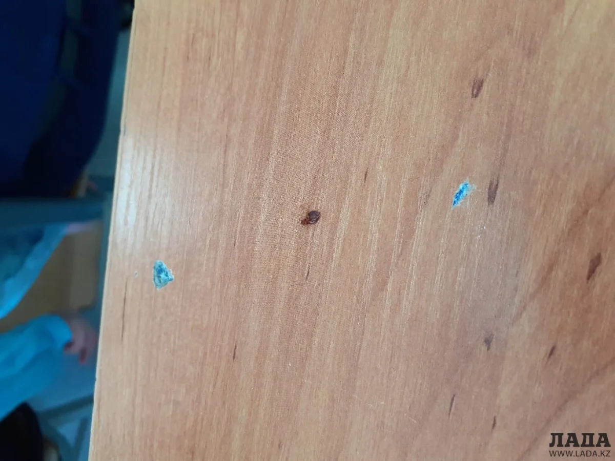 Фото учеников сш № 6