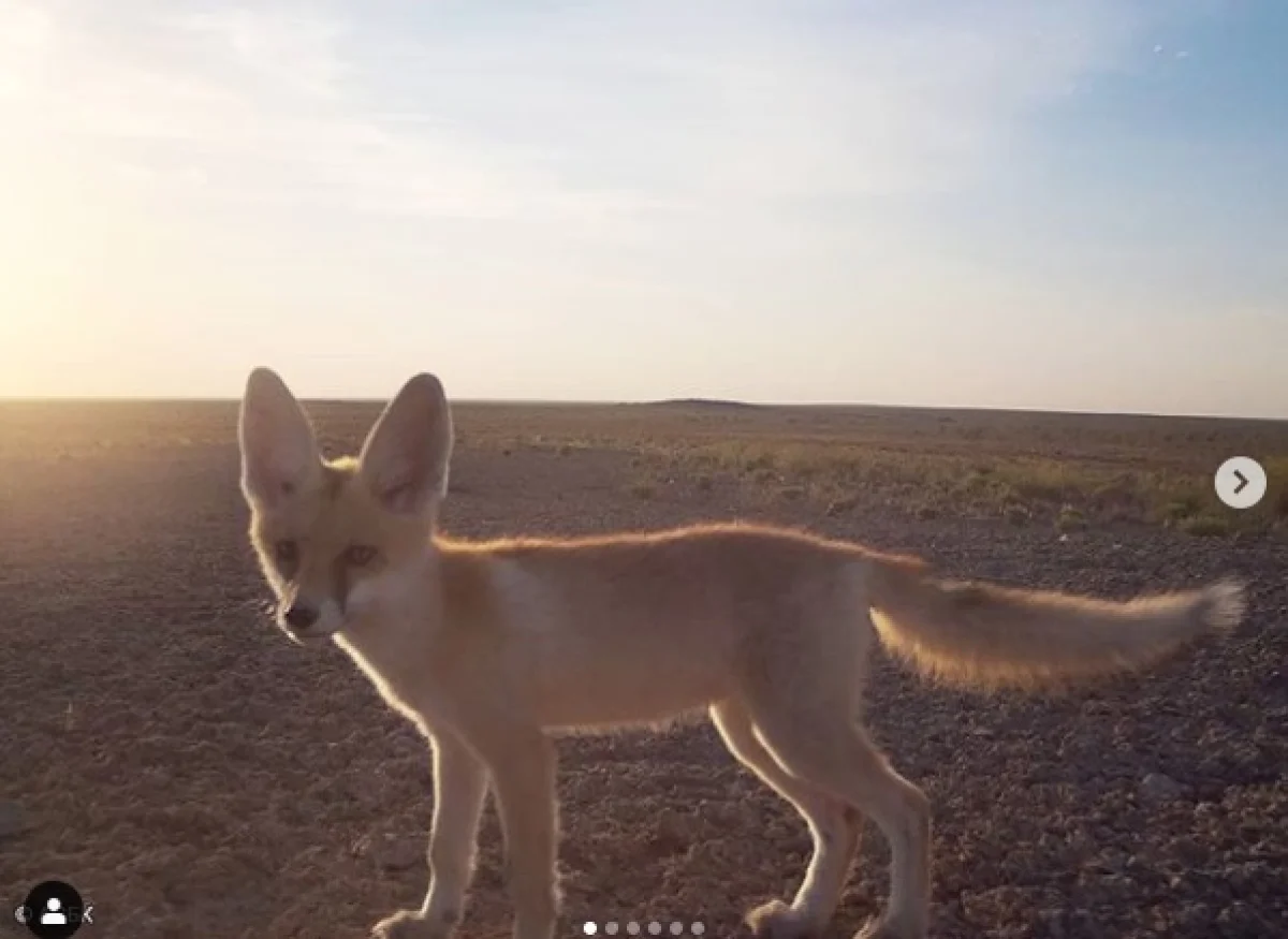 Фото со страницы АСБК в Instagram