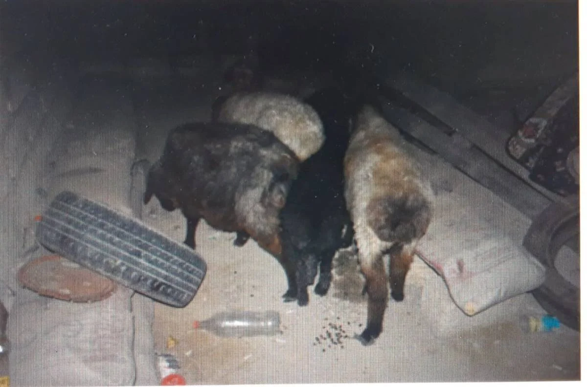 Фото предоставлено пресс-службой ведомства