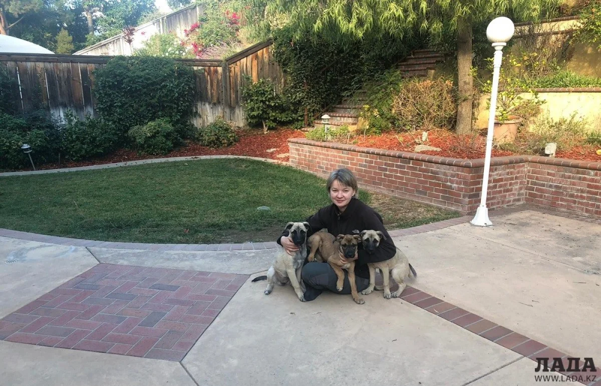 Анна Задура с щенятами. Фото предоставлено Фессом Стоуном.