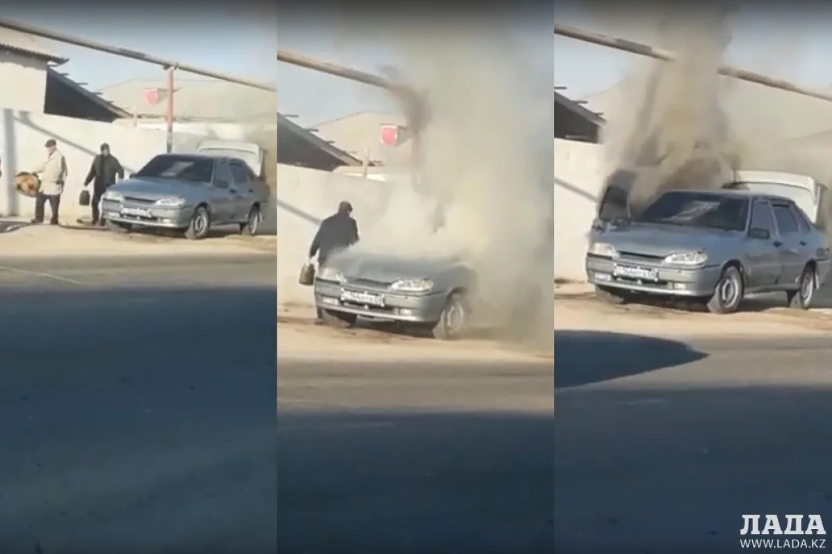 Коллаж из скриншотов видеоматериала