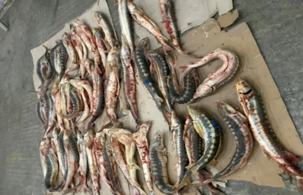 Фото КНБ РК