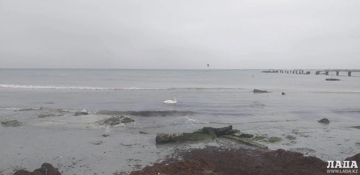 Фото из архива