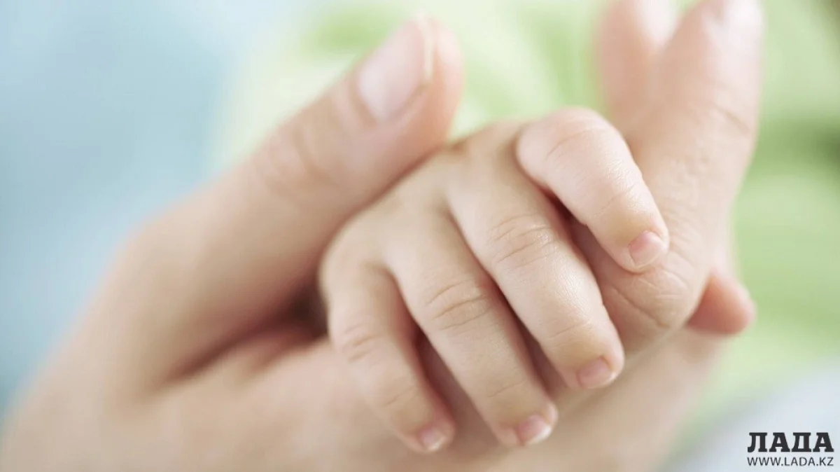 Иллюстративное фото с сайта mayupraco.com