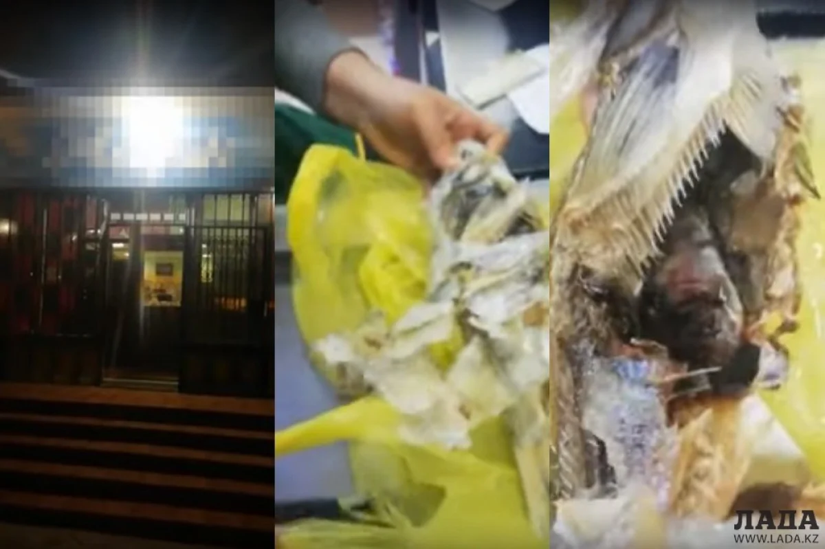 Коллаж из скриншотов видеоматериала