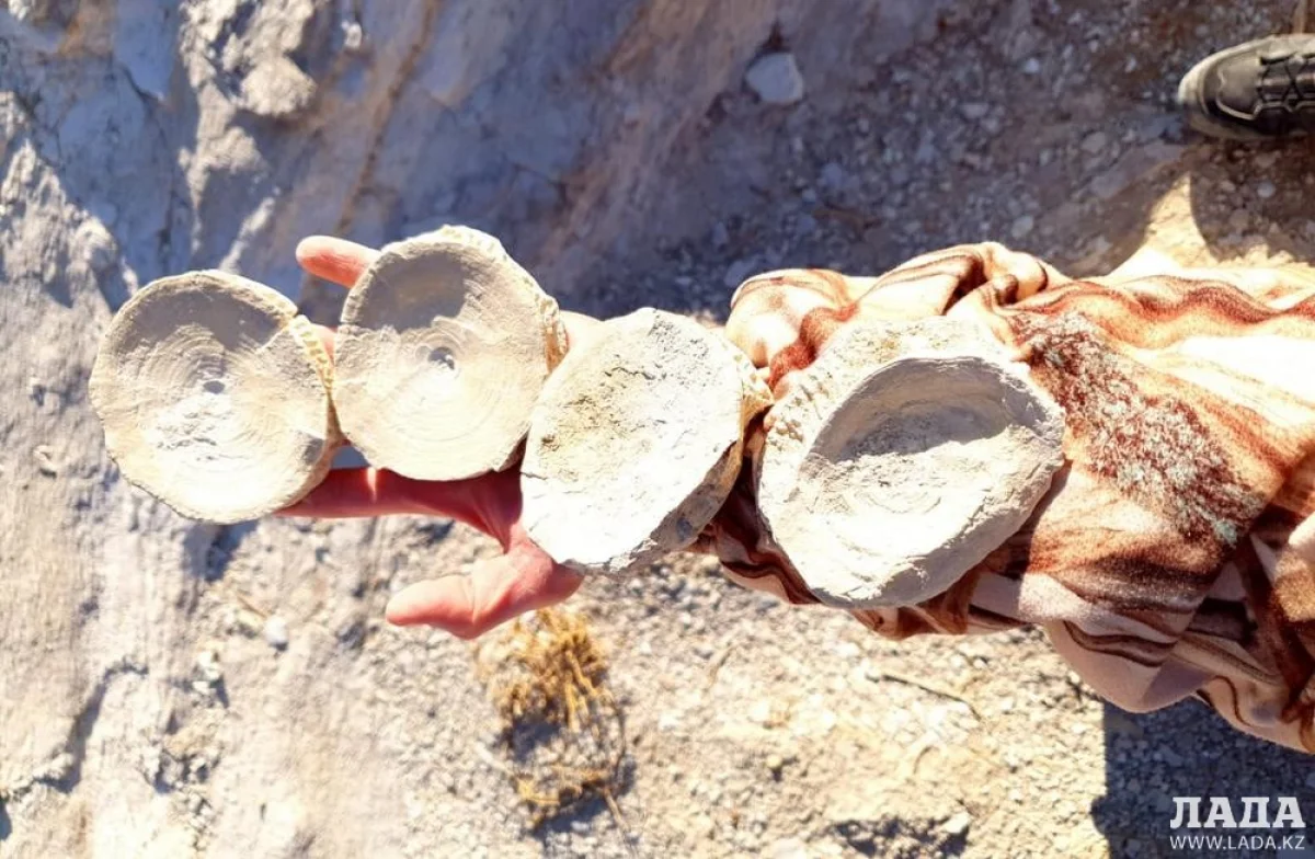 Фото Владимира Ярцева