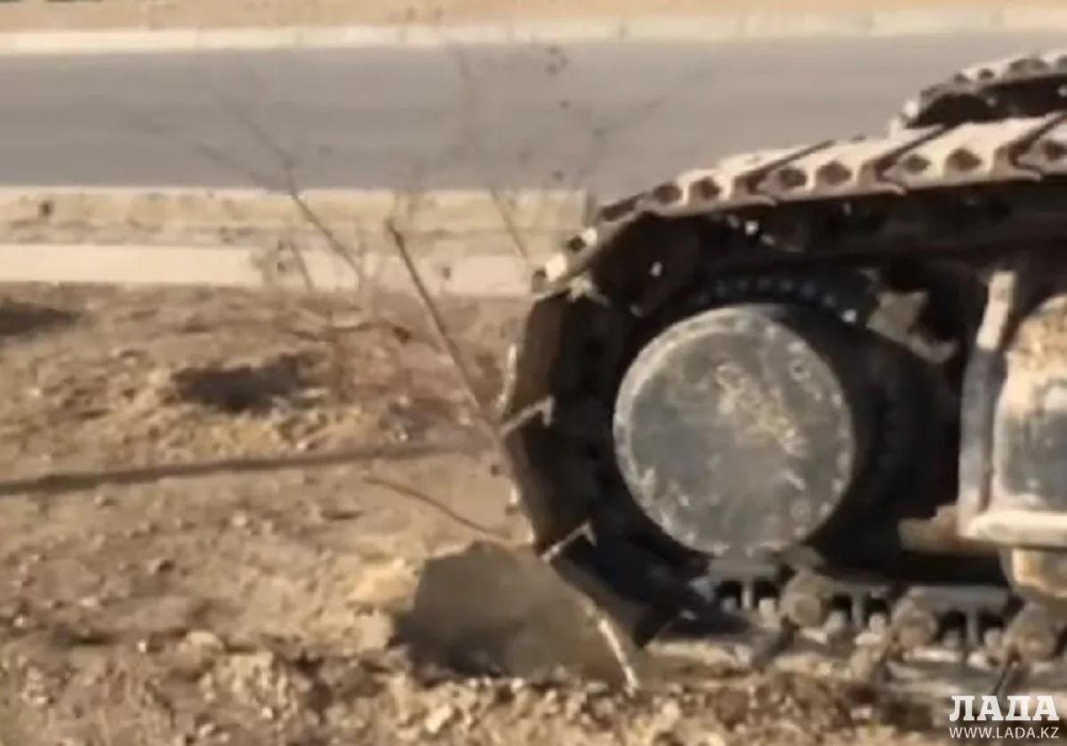 Скриншот видеоматериала