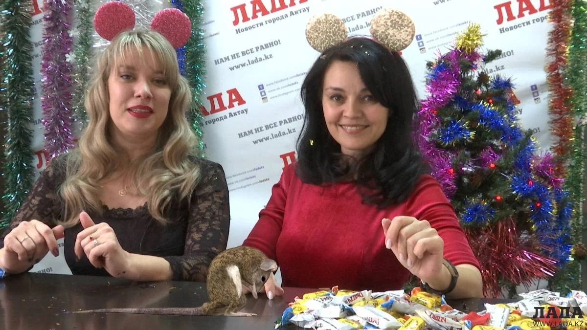 Примите поздравления!