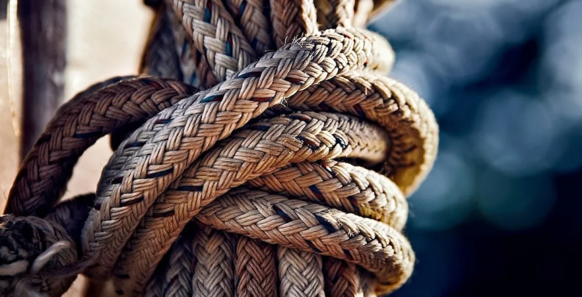 Иллюстративное фото