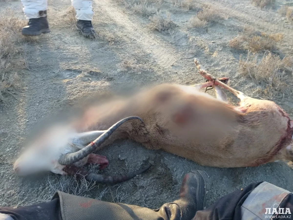 Фото предоставлено пресс-службой департамента полиции области