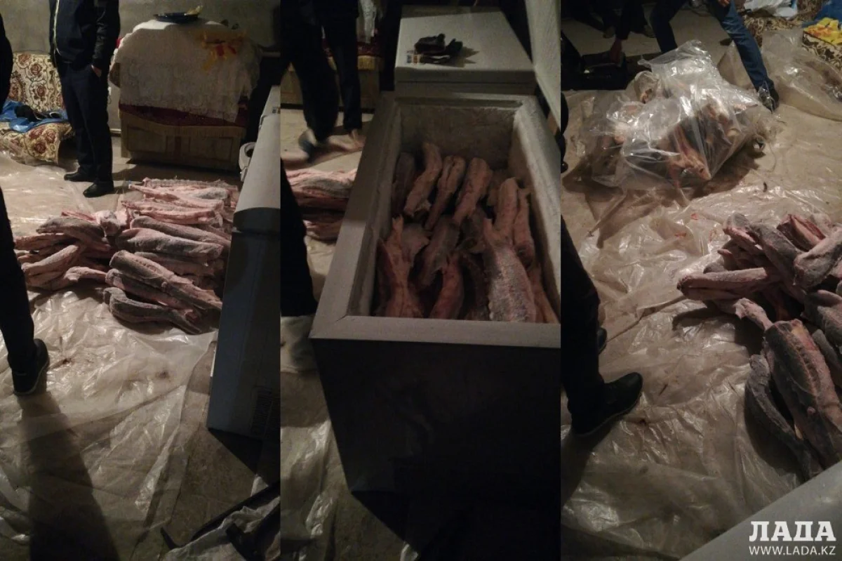 Фото предоставлено пресс-службой департамента полиции Мангистауской области