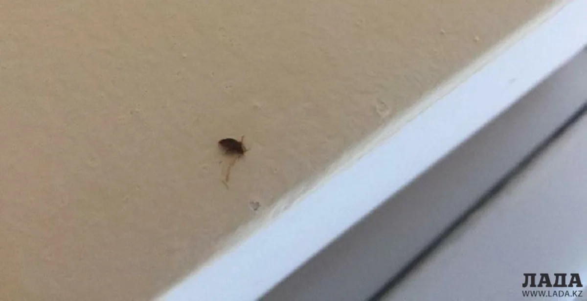 Фото пользователя сайта