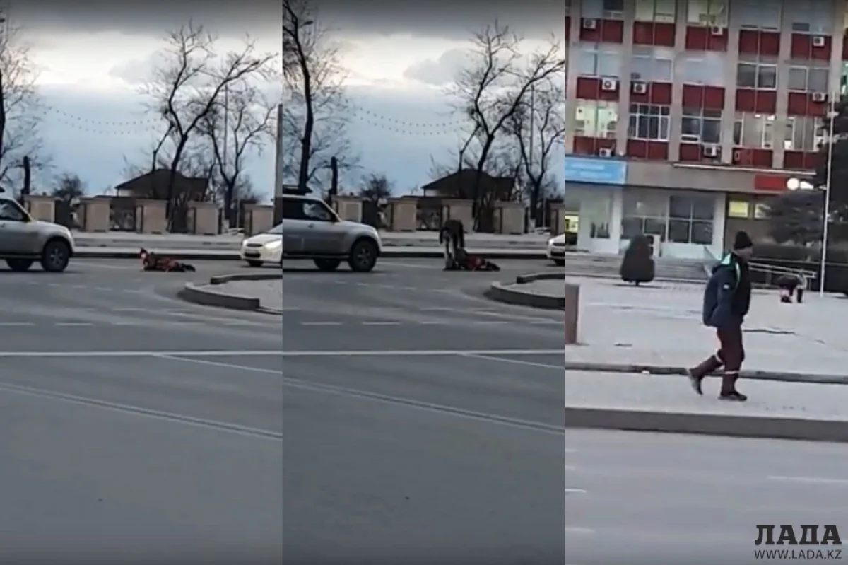 Коллаж из скриншотов видеоматериала