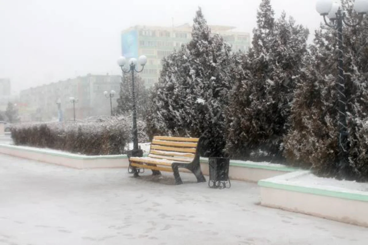 Фото из архива