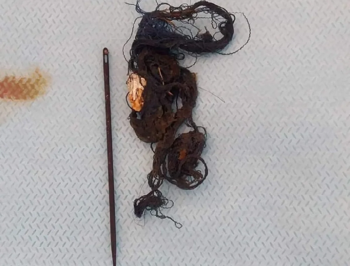 Фото предоставил Насукан Отаргазиев.