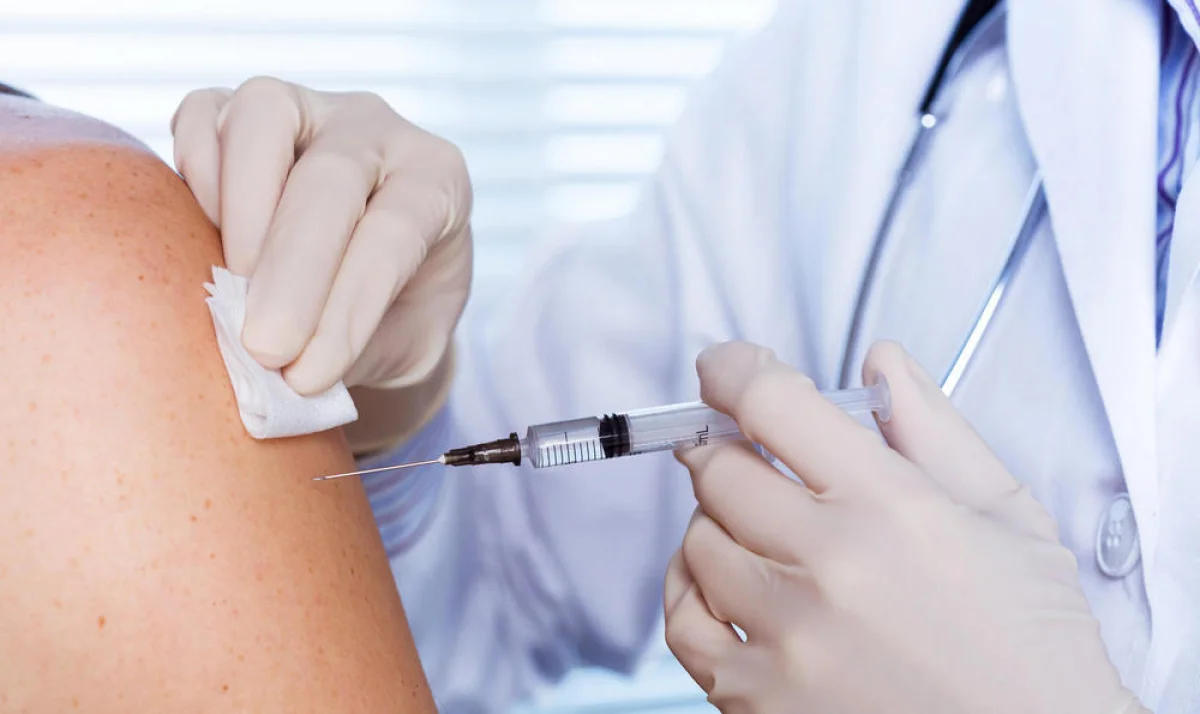 Фото из Сети интернет