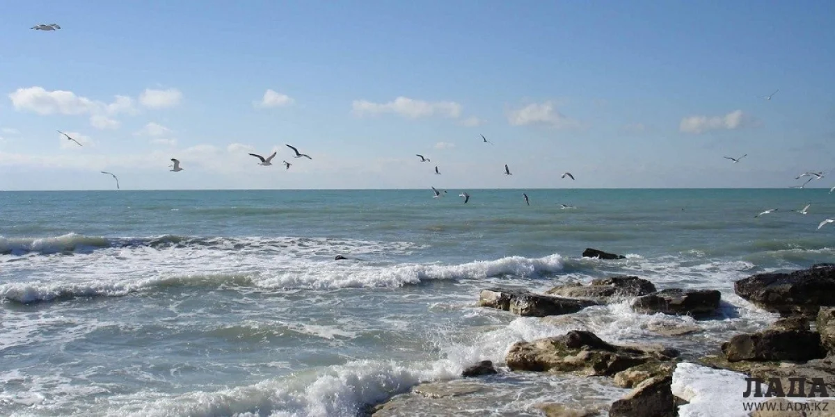 Иллюстративное фото с сайта outfitter.kz