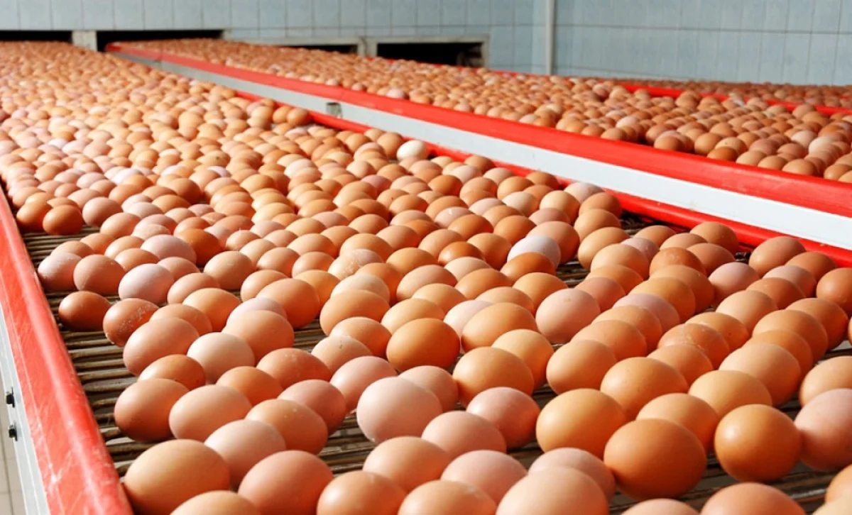 Фото из доступных источников