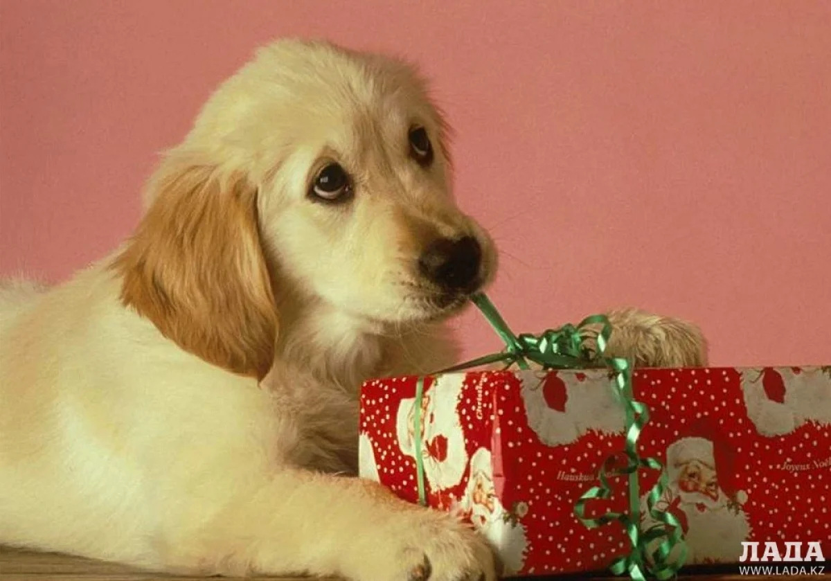 Иллюстративное фото с сайта gazeta-vp.ru