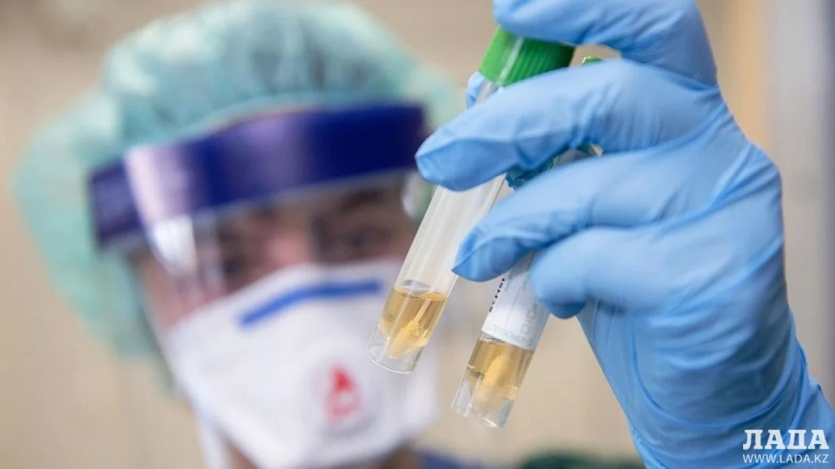 Фото с сайта vedomosti.ru