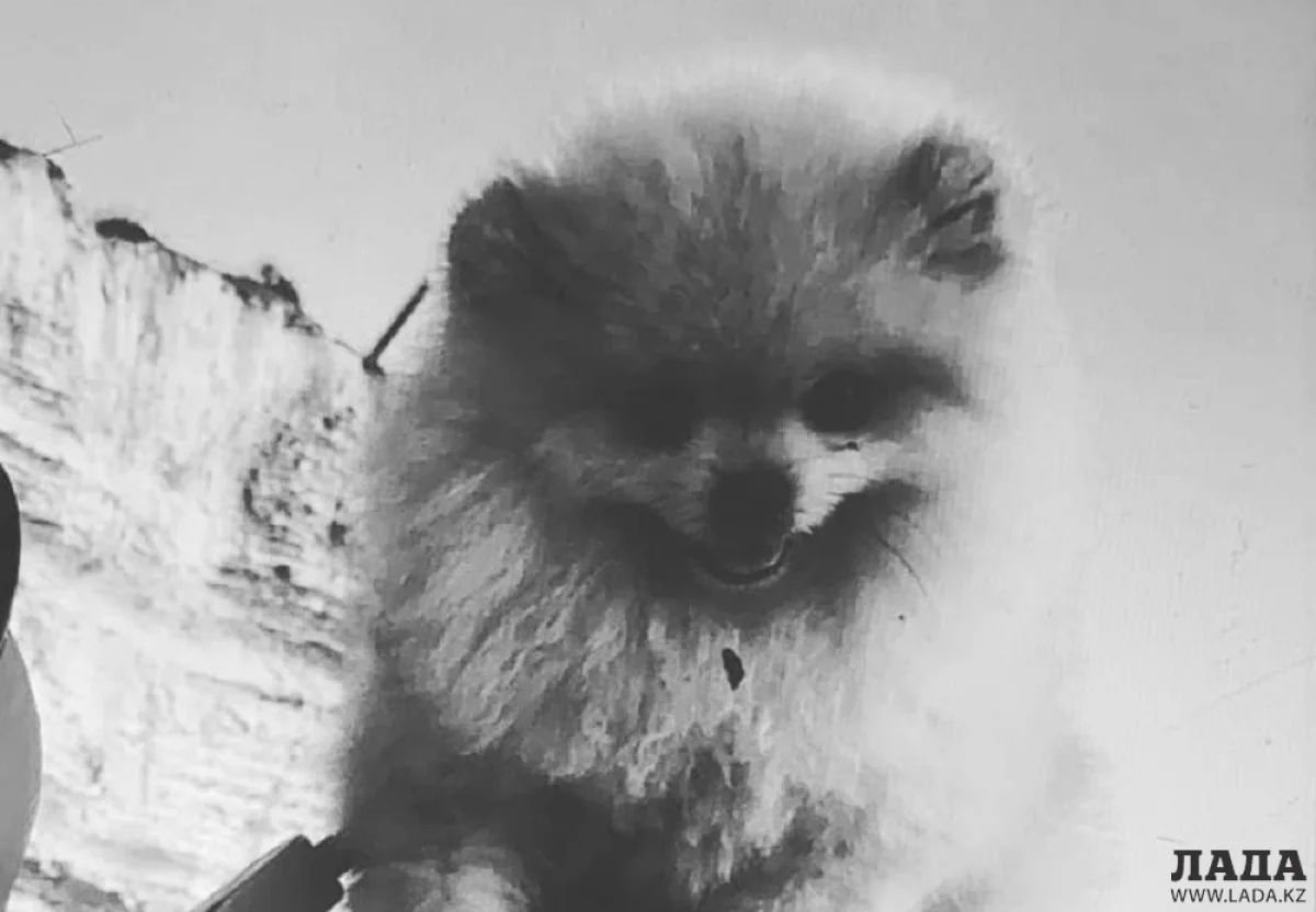 Фото со страницы «Клуба добряков Актау» в Instagram