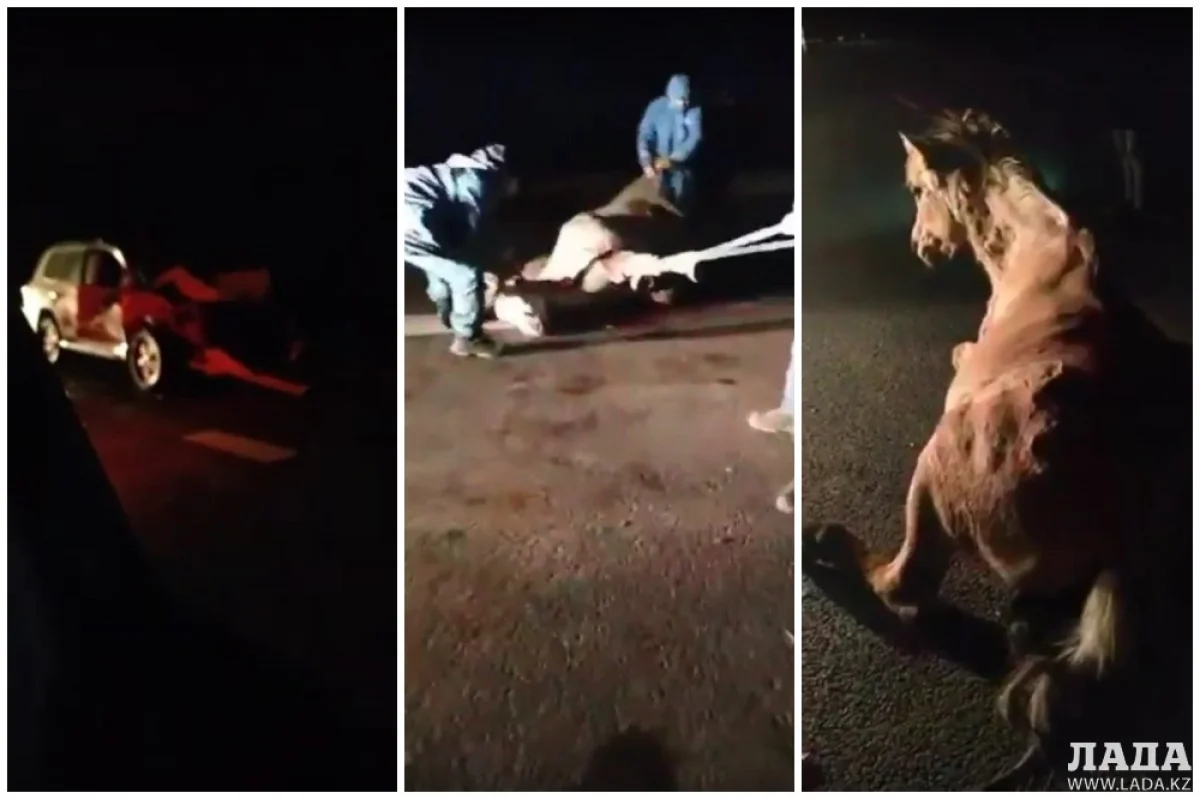 Коллаж из скриншотов видеоматериала