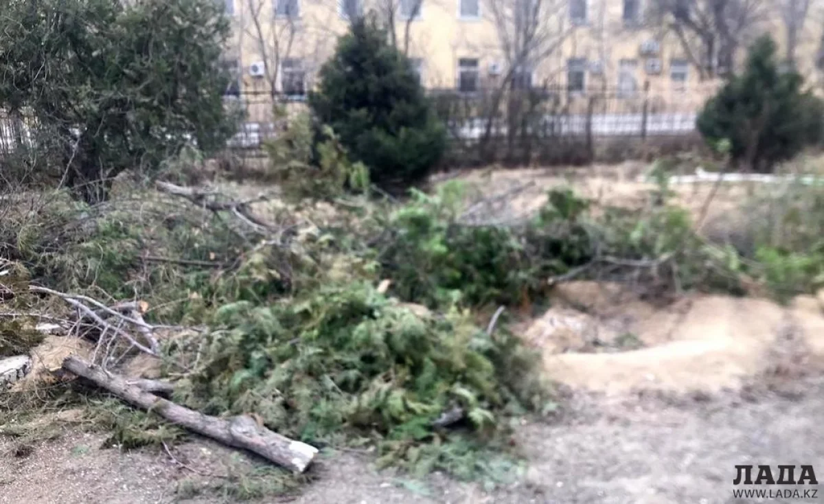 Фото Куаныша