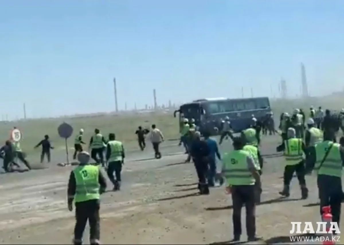 Фото из открытых источников