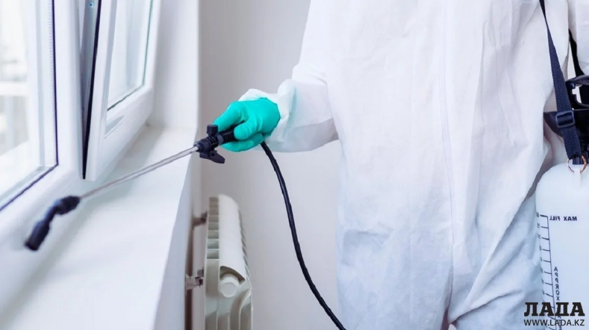 Иллюстративное фото из архива Lada.kz