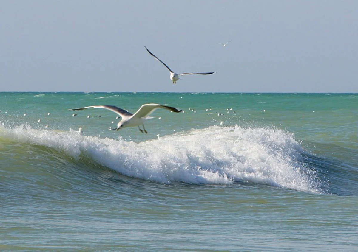 Фото из архива Lada.kz