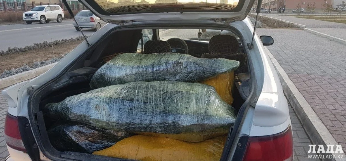 Иллюстративное фото из архива Lada.kz