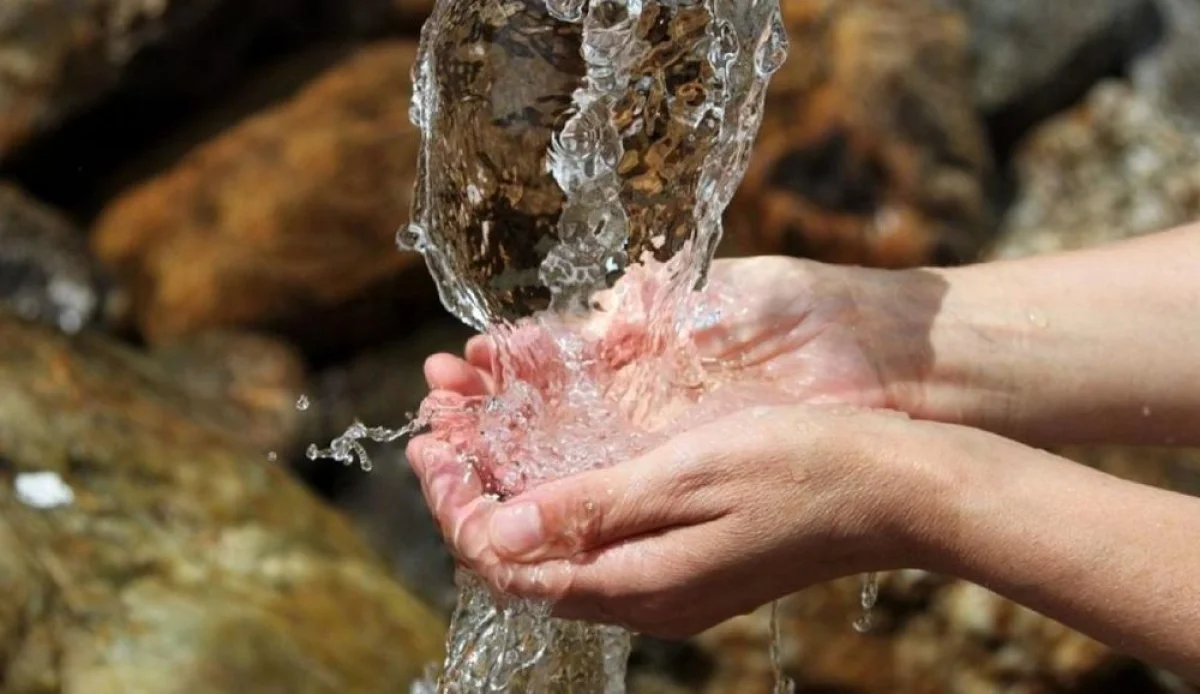 Фото из доступных источников