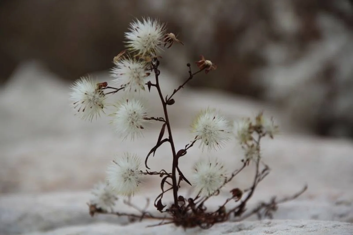 Фото из архива