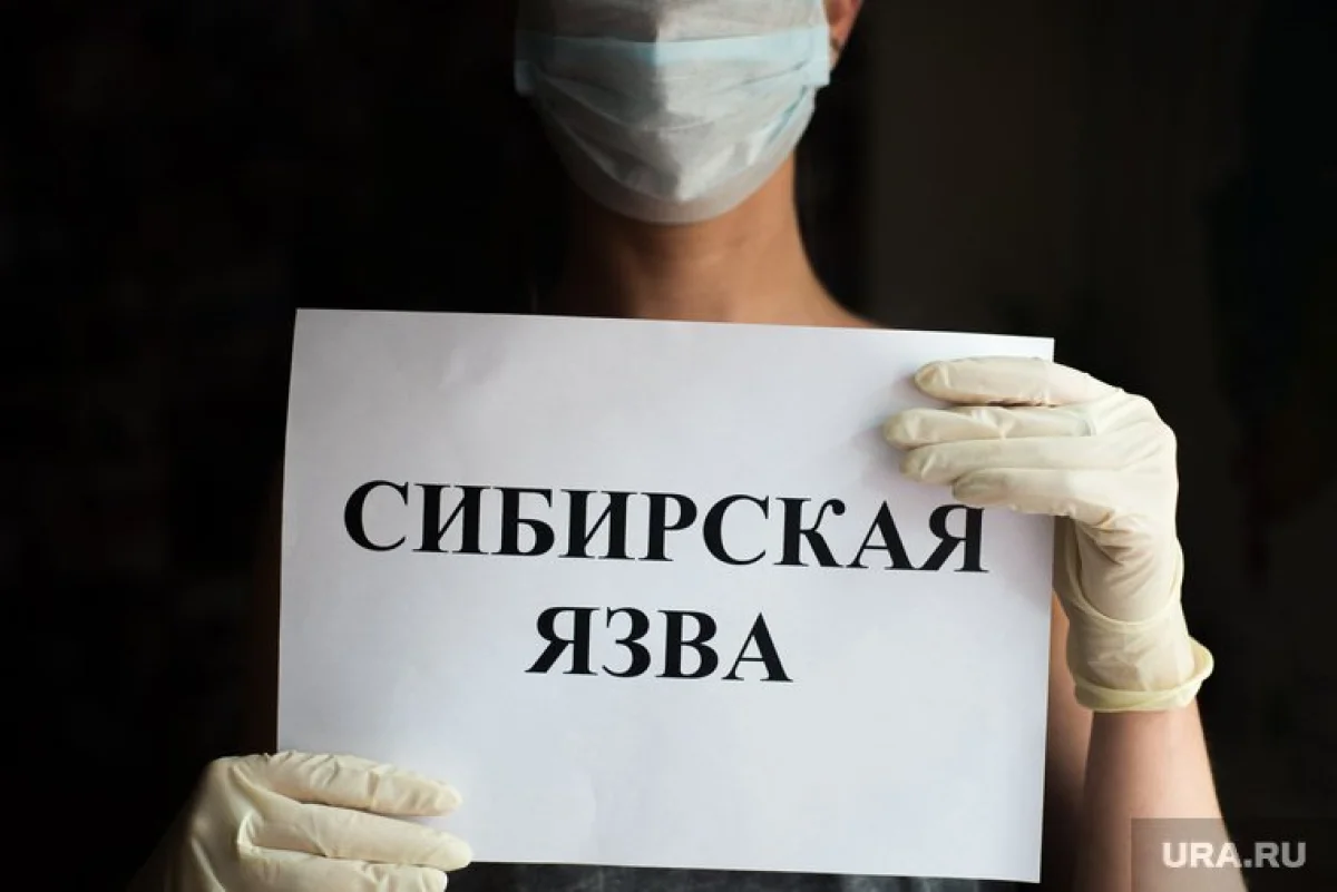 Фото с сайта derbrayon.ru