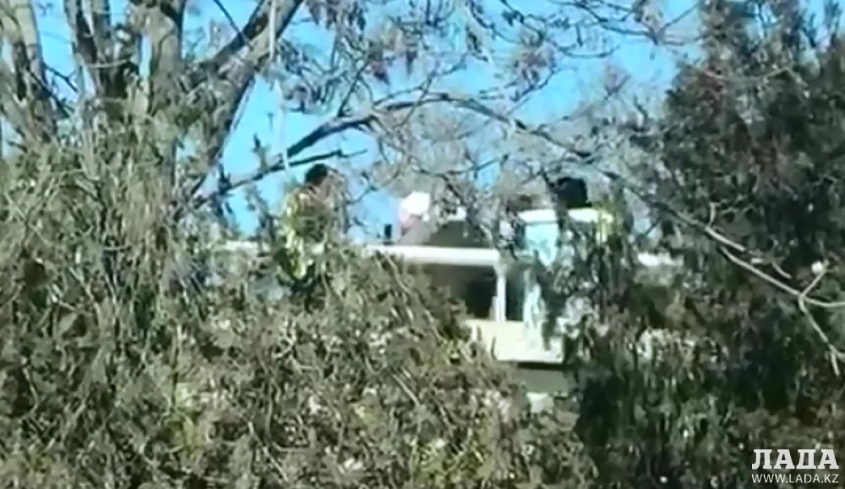 Скрин видео